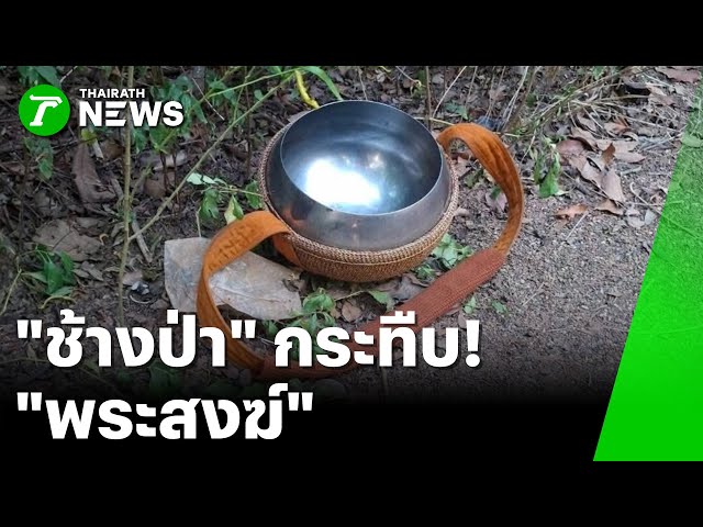 ช้างป่ากระทืบ “พระสงฆ์” มรณภาพ : ภาวะโลกร้อง | 17 ธ.ค. 68 | PulseWireเจาะประเด็น
