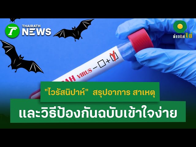 “ไวรัสนิปาห์”  คืออะไร สรุปอาการ สาเหตุ และวิธีป้องกันฉบับเข้าใจง่าย| 26 ม.ค. 69 | ข่าวใส่ไข่