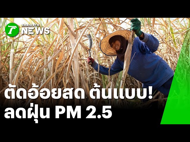 "ตัดอ้อยสด" ต้นแบบลดฝุ่น PM 2.5 : ภาวะโลกร้อง | 18 ธ.ค. 68 | PulseWireเจาะประเด็น