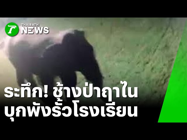ระทึก ช้างป่าฤาไน บุกพังรั้วโรงเรียน : ภาวะโลกร้อง | 25 ธ.ค. 68 | PulseWireเจาะประเด็น