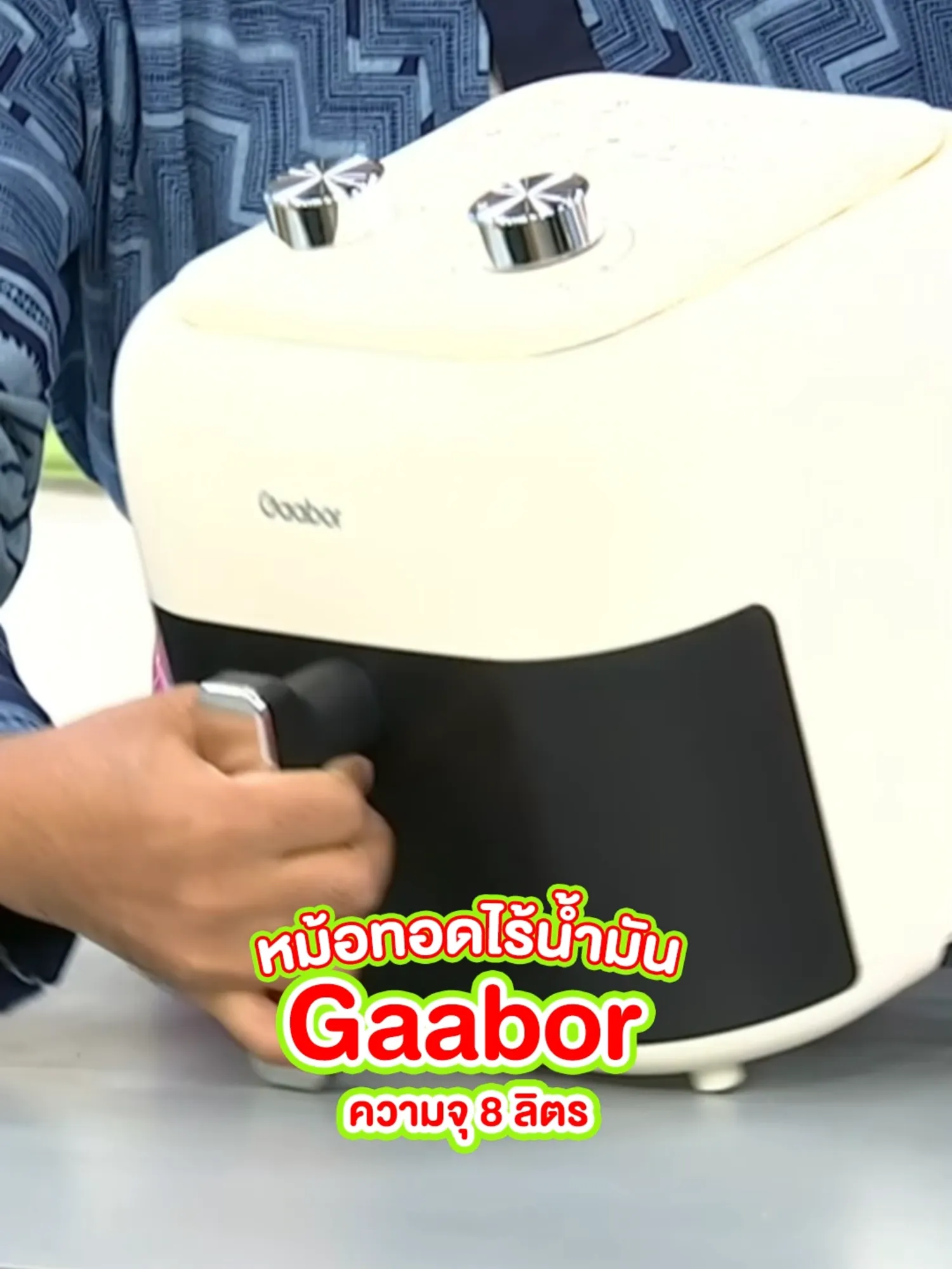 Gaabor หม้อทอดไร้น้ำมัน 8L