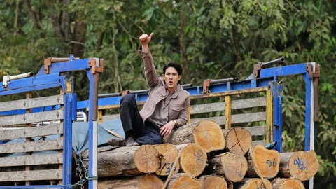 จิณณ์-เวลล์ โหนตัวขึ้นรถบรรทุกจับโจร ผู้กำกับเตอร์-กันตนา เนรมิตปางไม้ไล่ล่า ใน "ทุกอณูฤทัย"