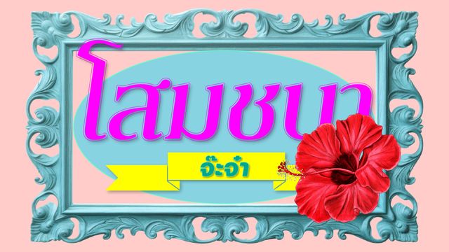 โสมชบาจ๊ะจ๋า 31 กรกฎาคม 2569